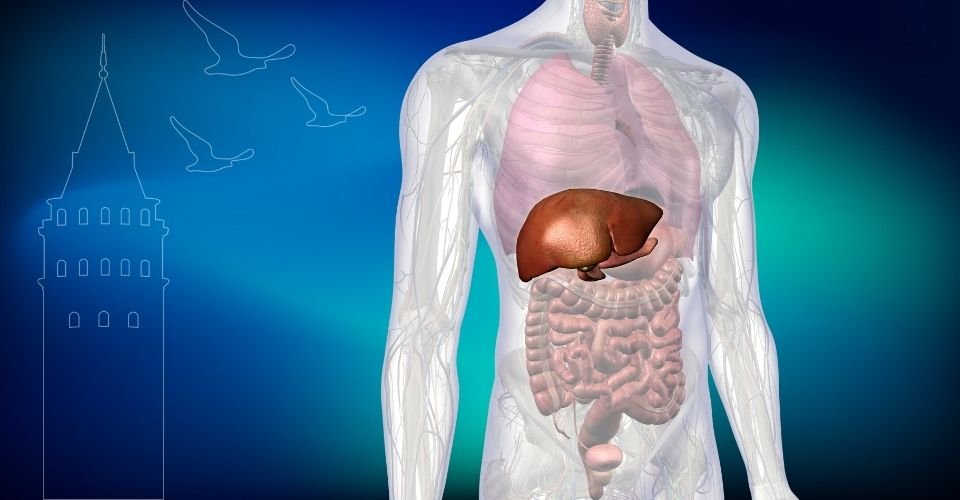 safra kesesi taşı ameliyatı