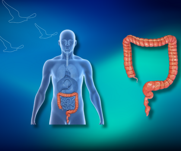 klinist- kolorektal kanserler klinist- kolorektal kanserler