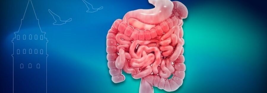 Sıcak Kemoterapi (HIPEC) Nedir? | Prof. Dr. İlknur Erenler