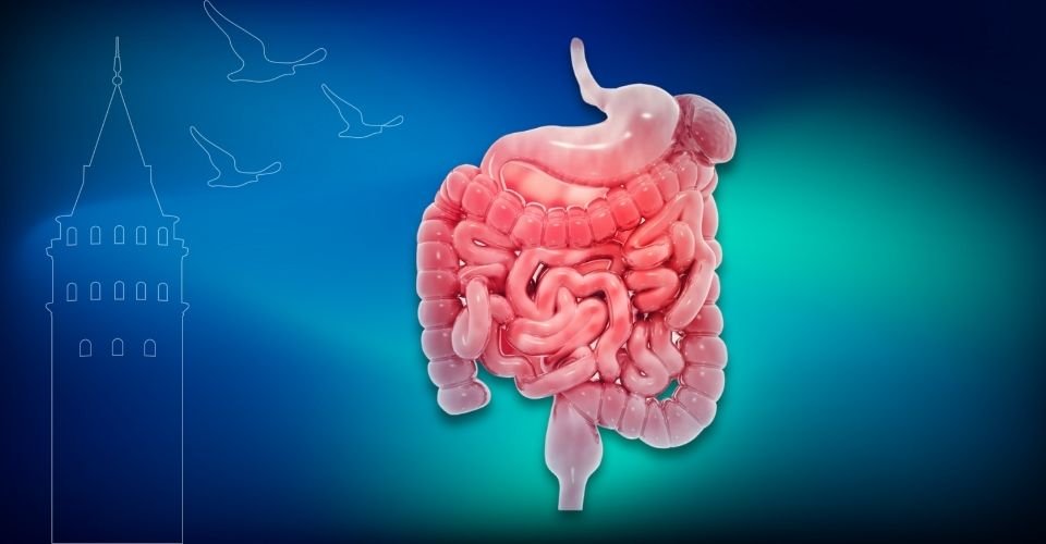 Sıcak Kemoterapi (HIPEC) Nedir? | Prof. Dr. İlknur Erenler