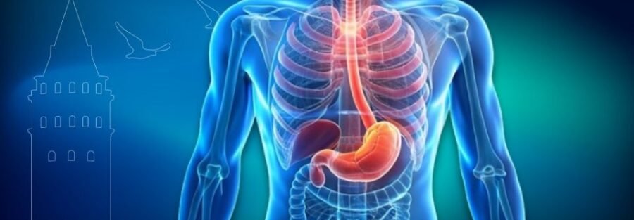 Sindirim Sistemi Kanserleri Tedavi Şekli | Prof. Dr. İlknur Erenler