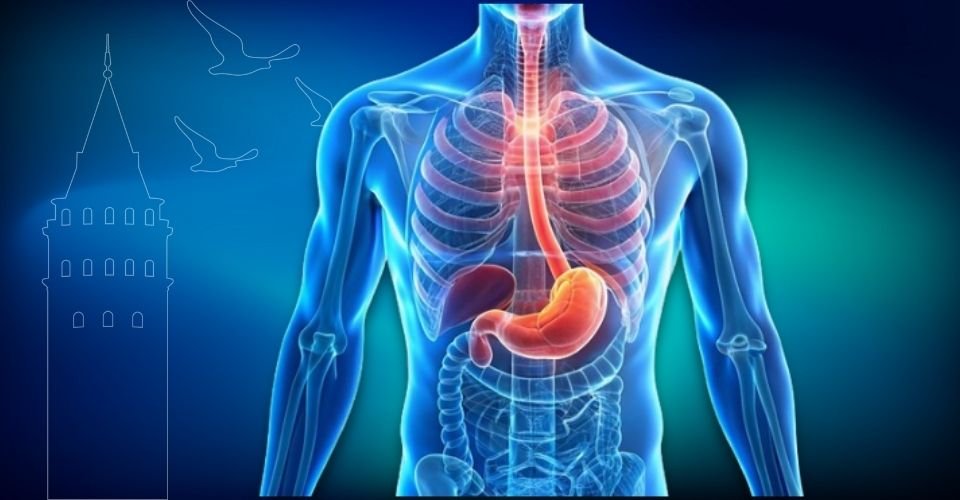 Sindirim Sistemi Kanserleri Tedavi Şekli | Prof. Dr. İlknur Erenler