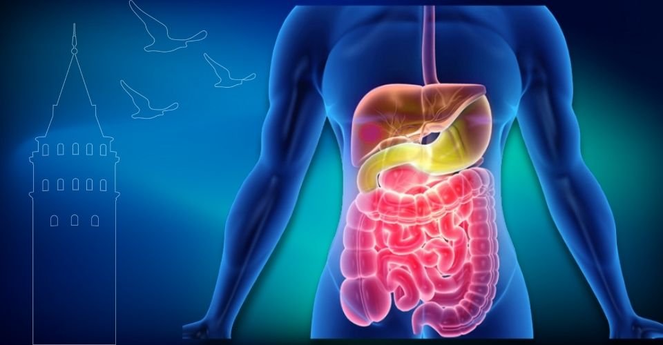 Periton Kanseri ve HIPEC Tedavisi | Prof. Dr. İlknur Erenler