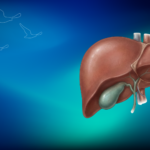Safra Kesesi Taşları ve İltihabı | Prof. Dr. İlknur Erenler Bayraktar