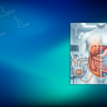 Karın Zarı Kanserlerinde Sıcak Kemoterapi: HIPEC ve PIPAC Nedir? | Prof. Dr. İlknur Erenler Bayraktar